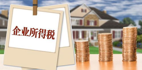 企業(yè)所得稅納稅人范疇、征稅規(guī)定及會(huì)計(jì)處理