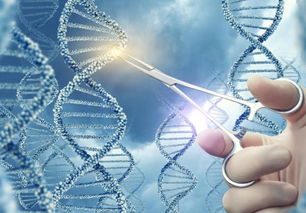 賀建奎最新回應(yīng) 堅(jiān)信倫理與生物技術(shù)開(kāi)發(fā)終將同行