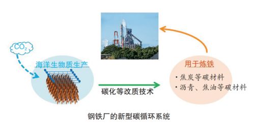 日本制鐵以1.4億日元預(yù)算投入海洋生物質(zhì)煉鐵技術(shù)開(kāi)發(fā)
