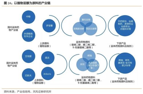 溢多利 專注研發(fā)創(chuàng)新的生物技術(shù)隱形冠軍，替抗業(yè)務(wù)迎來(lái)高增長(zhǎng)