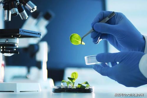 留學馬來西亞 生物技術與生物技術開發，如何區分這對“雙胞胎”專業？